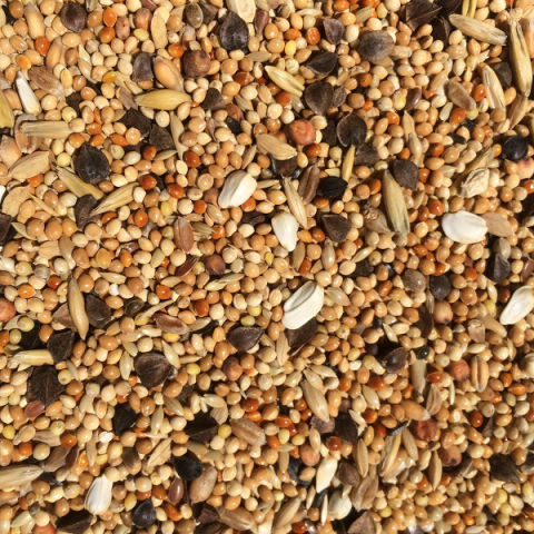 Wierikx Parkiet grof zz 3 20 kg