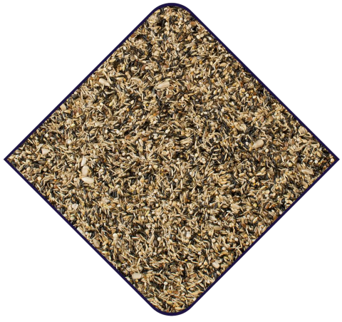 Witte molen Kapoetsen-sijzen-zaad 2 kg