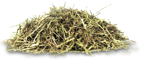 Hartog Lucerne-mix 20 kg