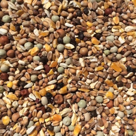 Wierikx Sierduiven 5 kg