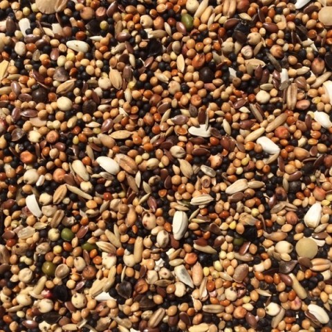 Wierikx Snoepzaad 5 kg