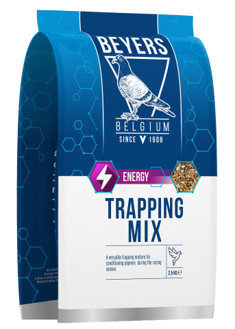 Beyers Snoepzaad 2,5 kg