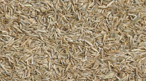 Enkelvoudig Gras zaad 10 kg