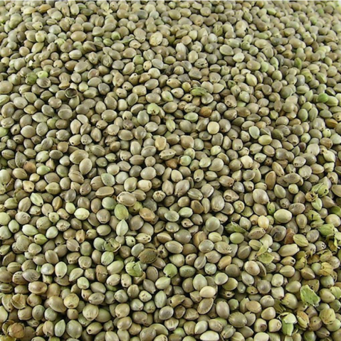 Enkelvoudig Hennep zaad 5 kg