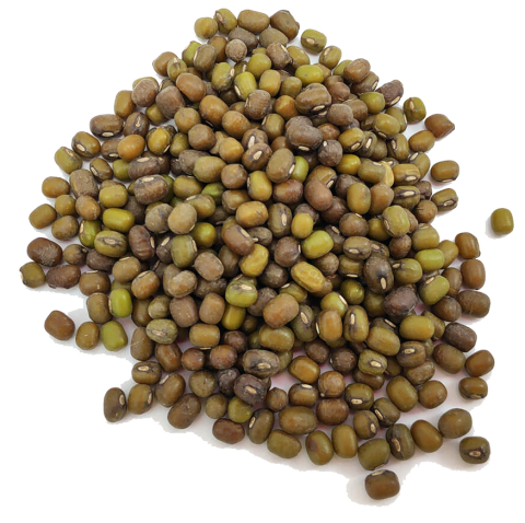 Enkelvoudig Katjang Idjoe 1 kg