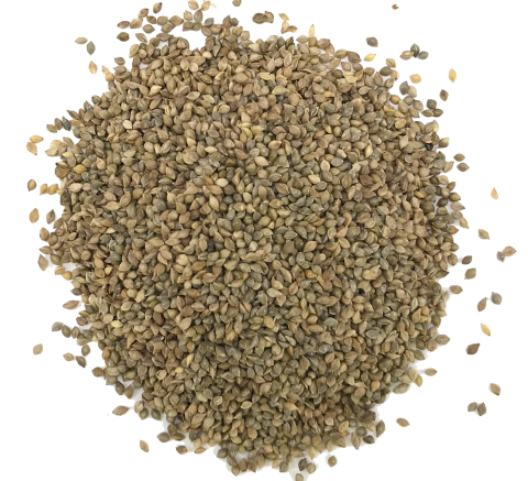 Enkelvoudig Milletzaad japans 1 kg