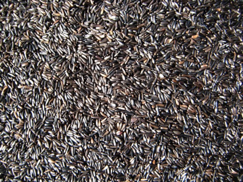 Enkelvoudig Negerzaad 20 kg