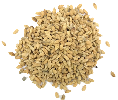 Enkelvoudig Paddy 1 kg