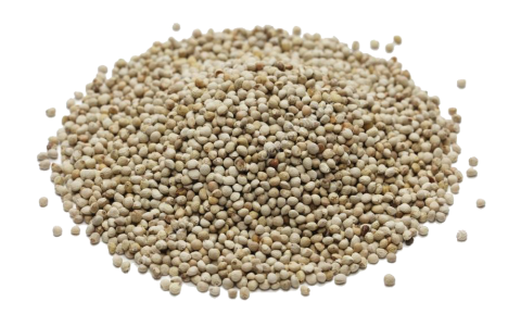 Enkelvoudig Perillazaad 1 kg