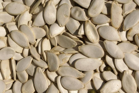 Enkelvoudig Pompoen pitten 1 kg