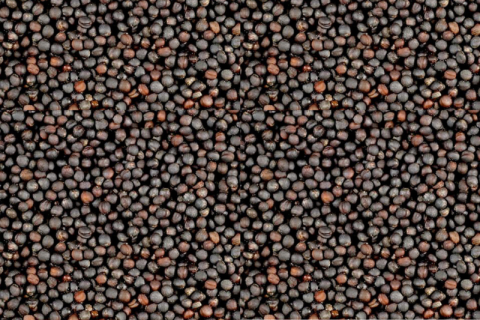 Enkelvoudig Raapzaad 20 kg