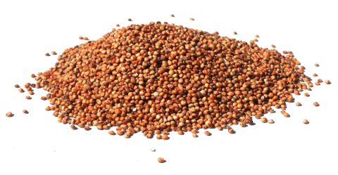 Enkelvoudig Rode dari 5 kg