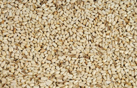 Enkelvoudig Saffloor pitten 5 kg