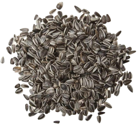 Enkelvoudig Zonnepitten gestreept 1 kg