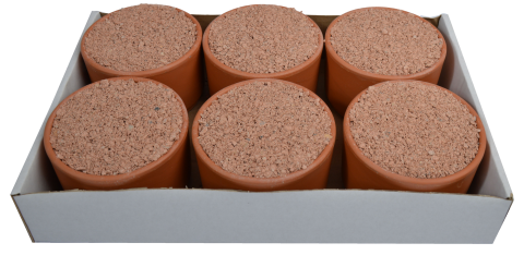 Wielink Pikpot 6 St.